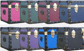 cases