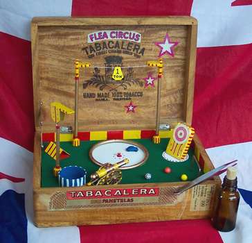 no8cigar